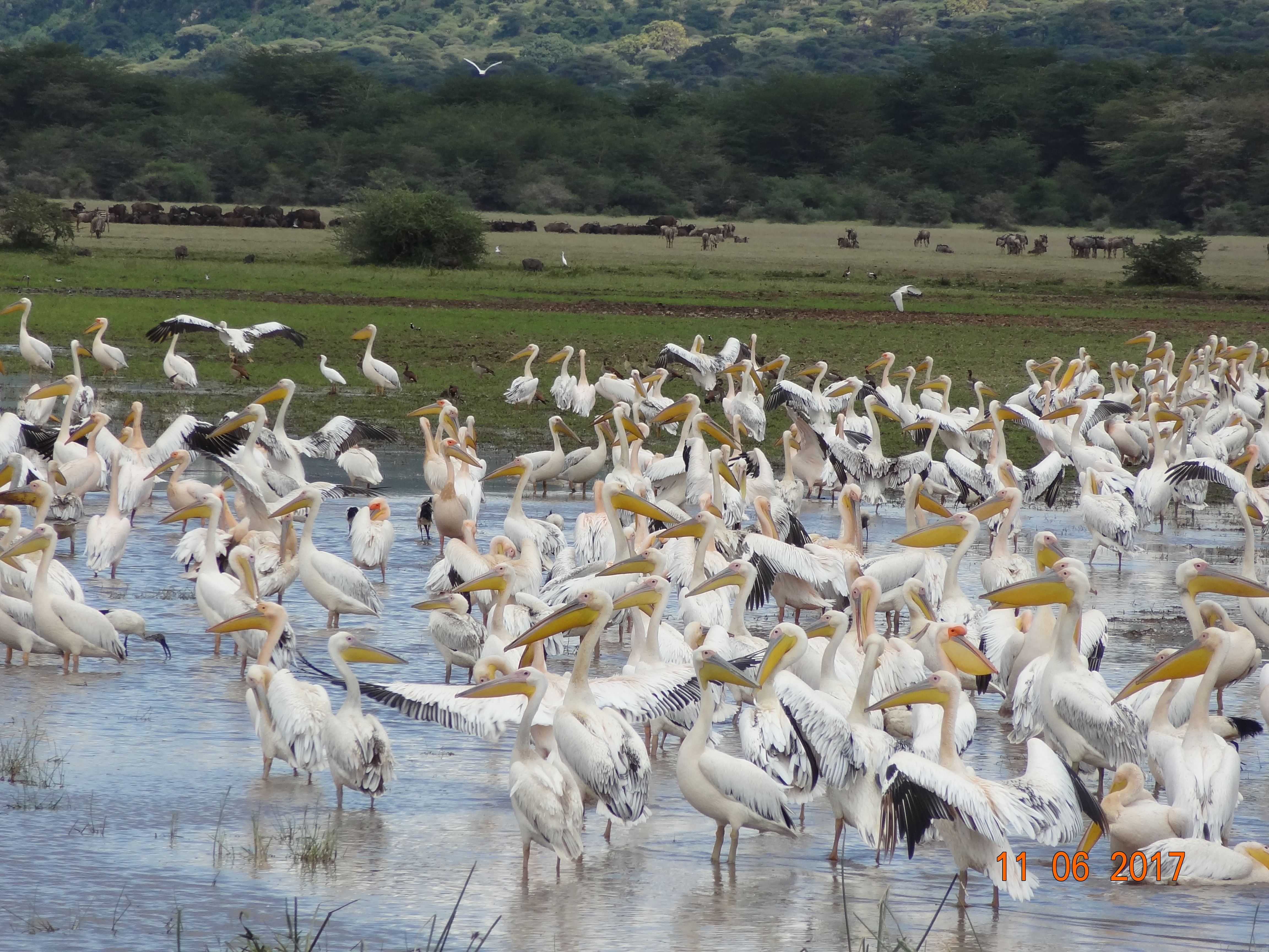  6 days Tanzania safari